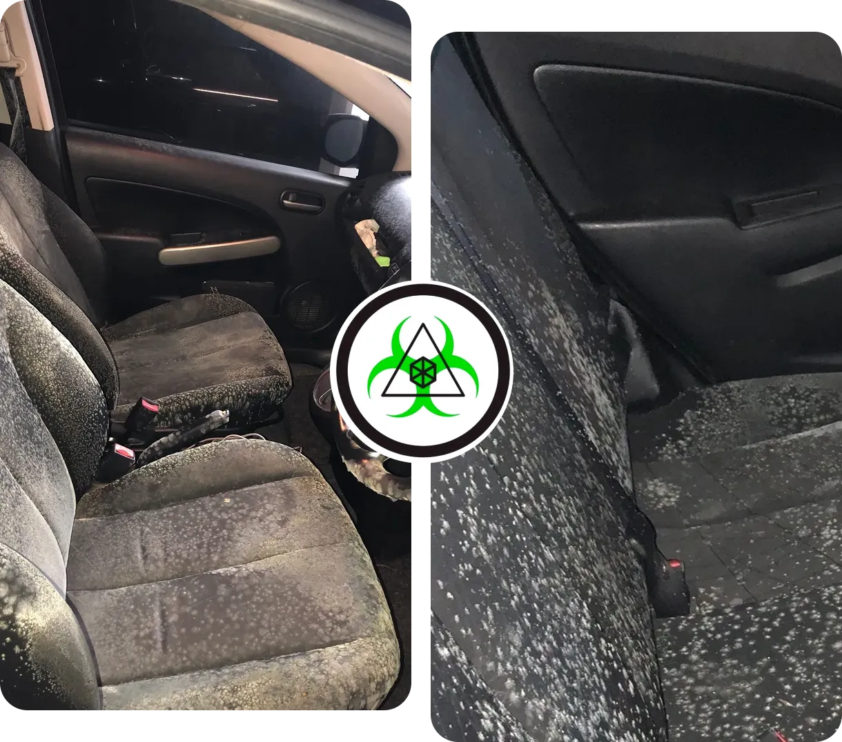 Car interior with moldy seats.
